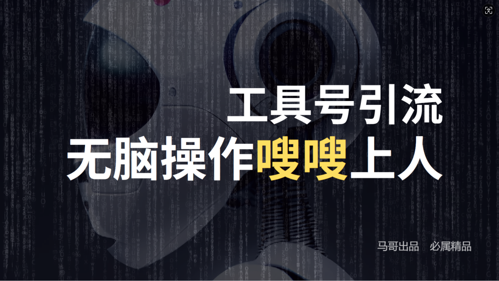 24年抖音最新工具号日引流300+创业粉，日入5000+-爱找项目网