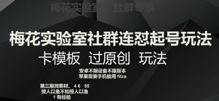 梅花实验室社群连怼起号玩法，卡模板过原创玩法【揭秘】-爱找项目网