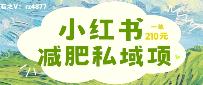 小红书减肥粉，私域变现项目，一单就达210元，小白也能轻松上手【揭秘】-爱找项目网