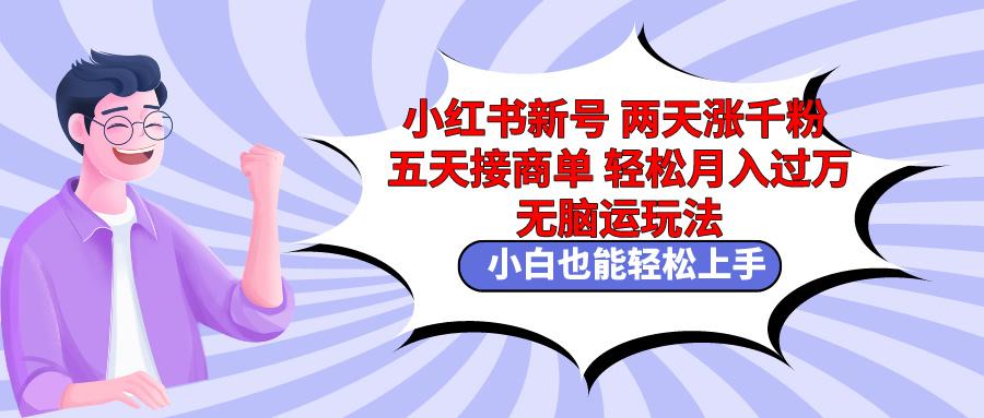 小红书新号两天涨千粉五天接商单轻松月入过万 无脑搬运玩法 小白也能轻…-爱找项目网