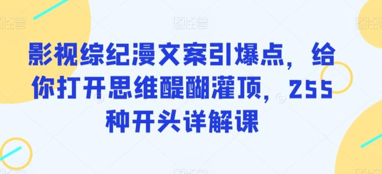 影视综纪漫文案引爆点，给你打开思维醍醐灌顶，255种开头详解课-爱找项目网