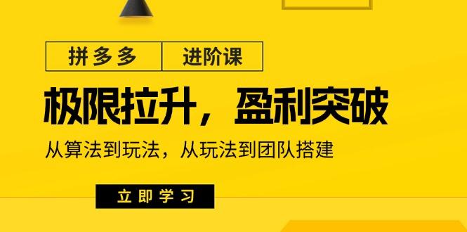 拼多多·进阶课：极限拉升/盈利突破：从算法到玩法 从玩法到团队搭建-18节-爱找项目网