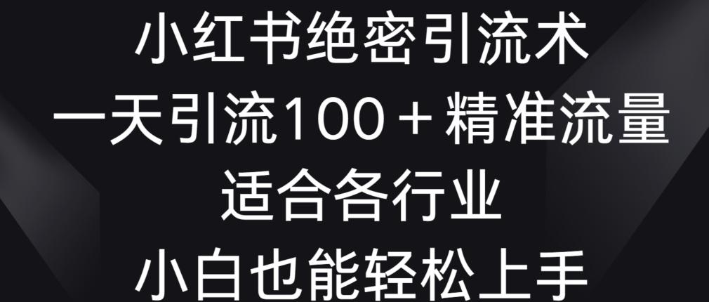 小红书绝密引流术，一天引流100+精准流量，适合各个行业，小白也能轻松上手【揭秘】-爱找项目网