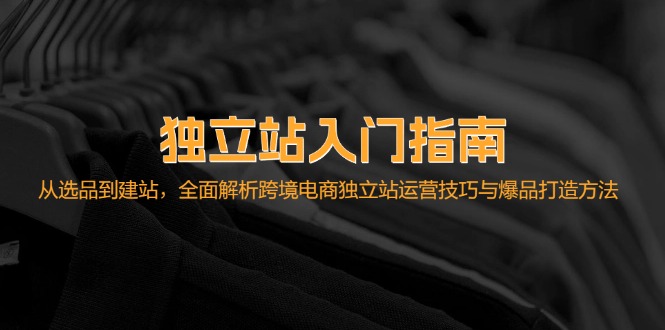 独立站入门指南：从选品到建站，全面解析跨境电商独立站运营技巧与爆品…-爱找项目网