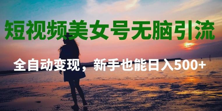 短视频美女号无脑引流，全自动变现，新手也能日入500+-爱找项目网