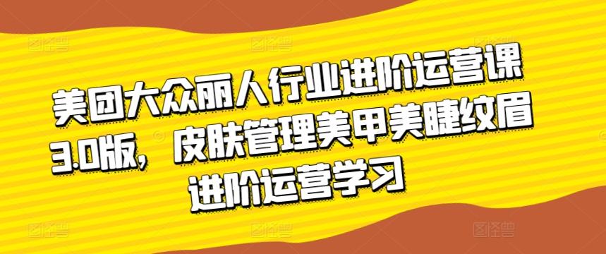 美团大众丽人行业进阶运营课3.0版，皮肤管理美甲美睫纹眉进阶运营学习-爱找项目网