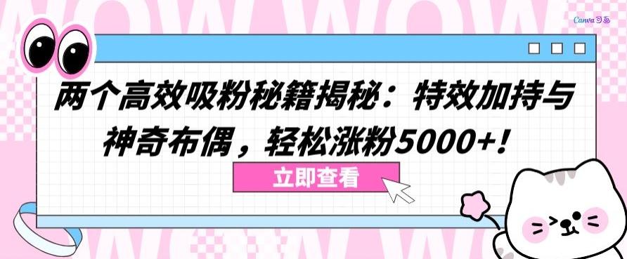 两个高效吸粉秘籍揭秘：特效加持与神奇布偶，轻松涨粉5000+【揭秘】-爱找项目网