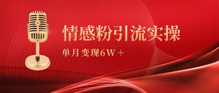 (9473期)单月变现6w+，情感粉引流变现实操课-爱找项目网