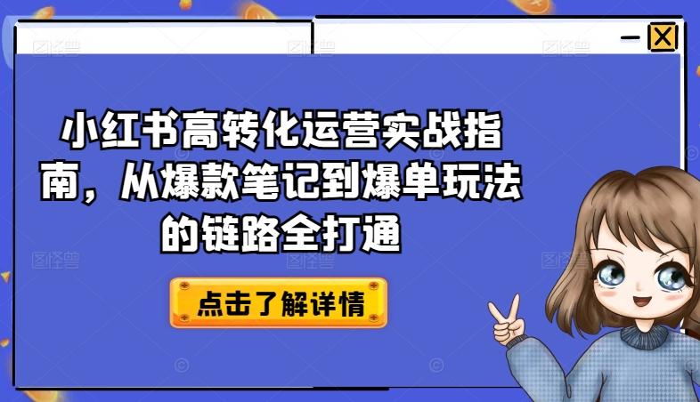 小红书高转化运营实战指南，从爆款笔记到爆单玩法的链路全打通-爱找项目网