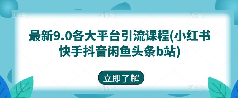最新9.0各大平台引流课程(小红书快手抖音闲鱼头条b站)-爱找项目网