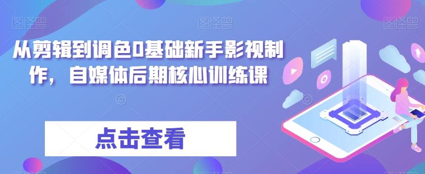 从剪辑到调色0基础新手影视制作，自媒体后期核心训练课-爱找项目网