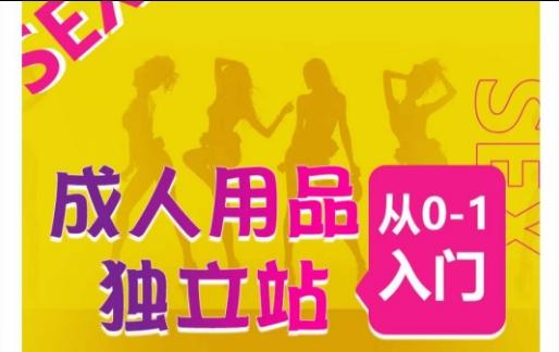 成人用品独立站从0-1入门，成品独立站运营全流程教学，七大好卖成品独立站推荐-爱找项目网