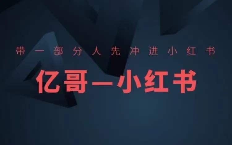 ​​带一部分人先冲进小红书，小红书开店、选品、爆款裂变-爱找项目网