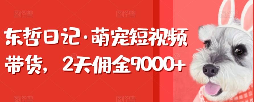 东哲日记·萌宠短视频带货，2天佣金9000+-爱找项目网