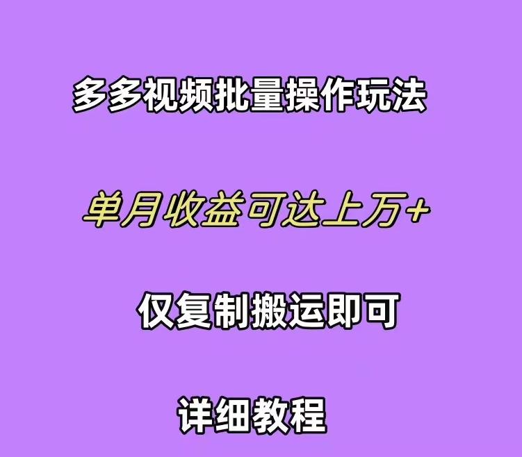 (10029期)拼多多视频带货快速过爆款选品教程 每天轻轻松松赚取三位数佣金 小白必…-爱找项目网