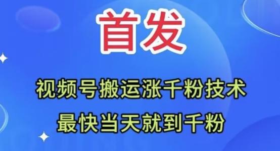 全网首发：视频号无脑搬运涨千粉技术，最快当天到千粉【揭秘】-爱找项目网