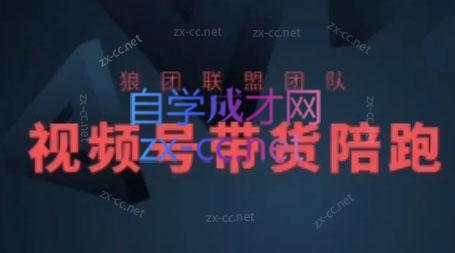 狼团联盟·2024视频号带货-爱找项目网