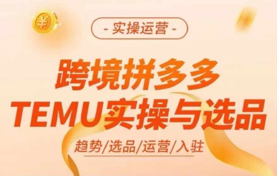 跨境拼多多TEMU实操与选品，多多temu跨境选品运营实操-爱找项目网