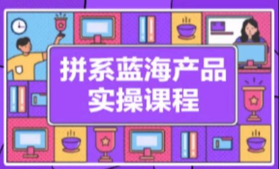 拼系冷门蓝海产品实操课程，从注册店铺到选品上架到流量维护环环相扣-爱找项目网