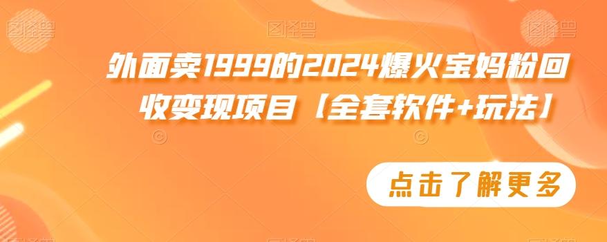 外面卖1999的2024爆火宝妈粉回收变现项目【全套软件+玩法】【揭秘】-爱找项目网