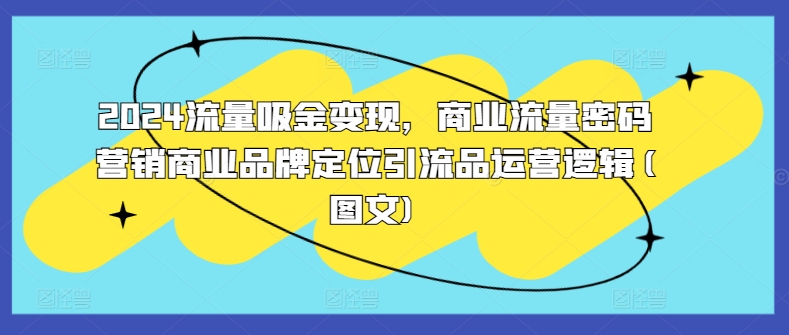 2024流量吸金变现，商业流量密码营销商业品牌定位引流品运营逻辑(图文)-爱找项目网