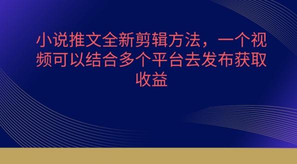 小说推文全新剪辑方法，一个视频可以结合多个平台去发布获取【揭秘】-爱找项目网