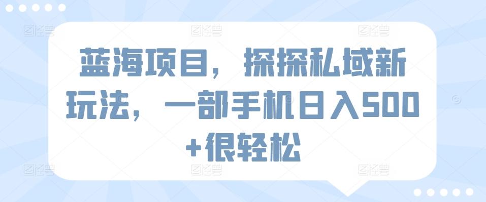 蓝海项目，探探私域新玩法，一部手机日入500+很轻松【揭秘】-爱找项目网