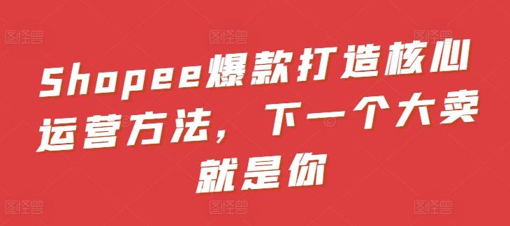 Shopee爆款打造核心运营方法，下一个大卖就是你-爱找项目网