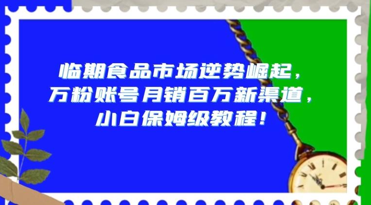 临期食品市场逆势崛起，万粉账号月销百万新渠道，小白保姆级教程【揭秘】-爱找项目网