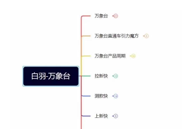 白羽·直引万搜索全篇，从0-1，多个类目实操经验总结付费-爱找项目网