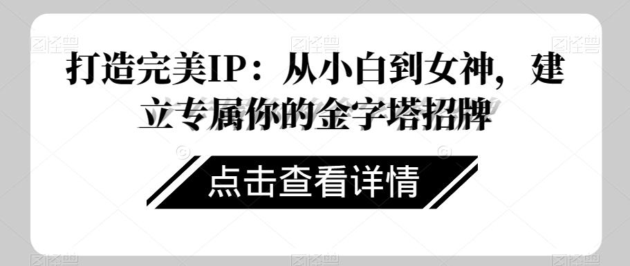 打造完美IP：从小白到女神，建立专属你的金字塔招牌-爱找项目网