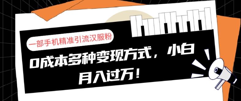 一部手机精准引流汉服粉，0成本多种变现方式，小白月入过万！-爱找项目网