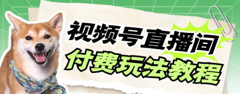 视频号美女付费无人直播，轻松日入500+【详细玩法教程】-爱找项目网