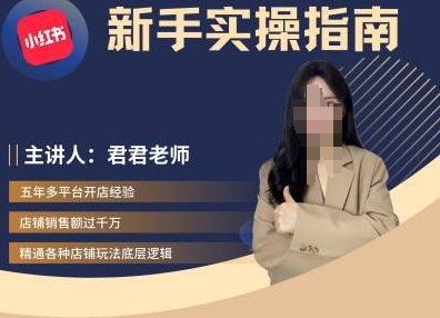 君君-小红书电商从入门到精通，新手实操指南-爱找项目网