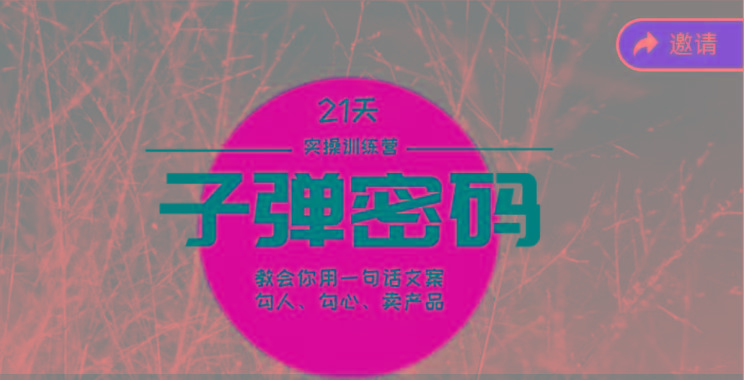 《子弹密码训练营》-用一句话文案勾人勾心卖产品，21天学到顶尖文案大师策略和技巧-爱找项目网