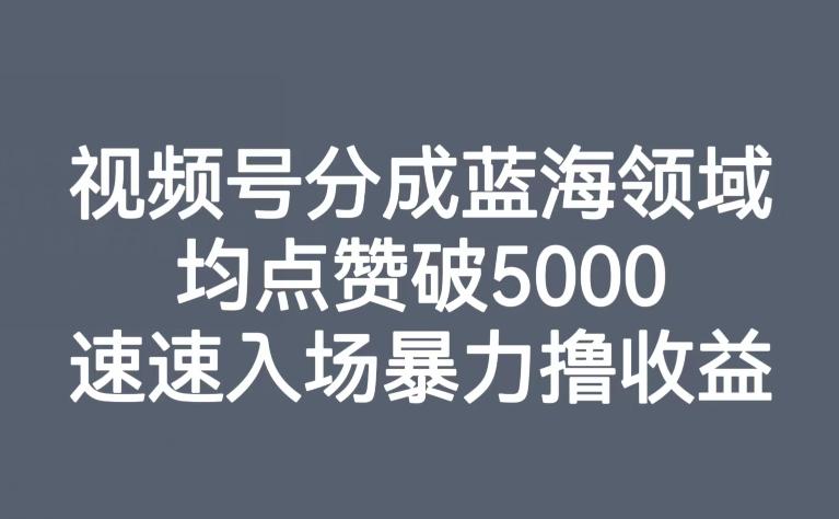视频号分成蓝海领域，均点赞破5000，速速入场暴力撸收益-爱找项目网