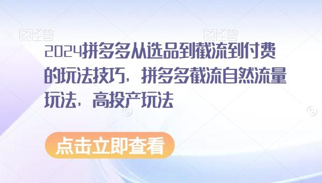 2024拼多多从选品到截流到付费的玩法技巧，拼多多截流自然流量玩法，高投产玩法-爱找项目网