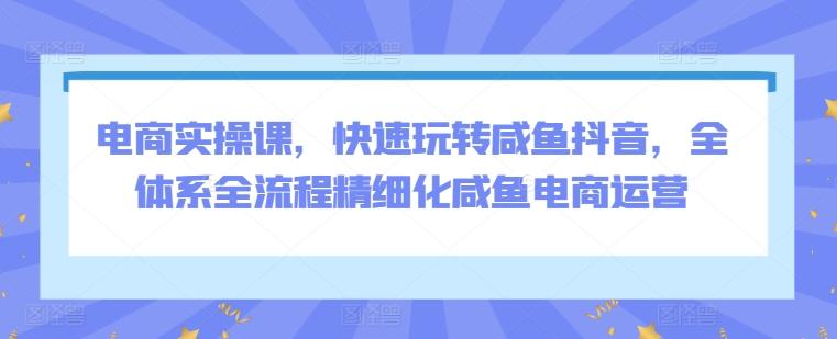 电商实操课，快速玩转咸鱼抖音，全体系全流程精细化咸鱼电商运营-爱找项目网