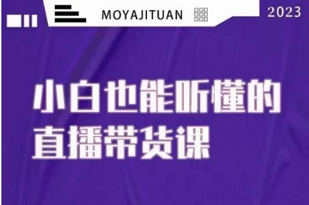 大威本威·能听懂的直播带货课，小白也能听懂，20节完整-爱找项目网