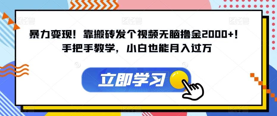 暴力变现！靠搬砖发个视频无脑撸金2000+！手把手教学，小白也能月入过万【揭秘】-爱找项目网