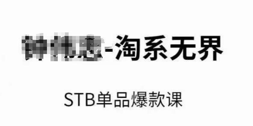 淘系无界STB单品爆款课(2024)，付费带动免费的核心逻辑，万相台无界关键词推广/精准人群的核心-爱找项目网
