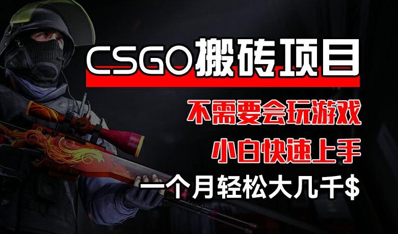 CSGO 装备搬砖项目，操作简单，不需要会玩游戏，小白也能快速上手，一个月轻松大几千【揭秘】-爱找项目网