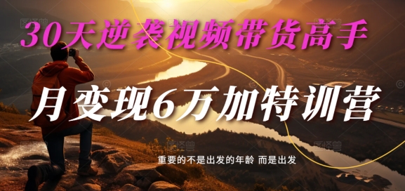 30天逆袭视频带货高手，单月变现6万加特训营-麦子甜-爱找项目网