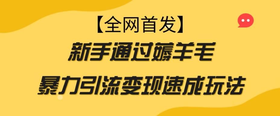 【全网首发】新手通过薅羊毛暴力引流变现速成玩法-爱找项目网