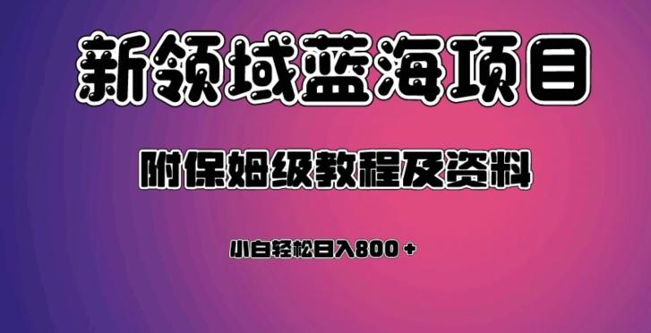 虚拟资源蓝海领域新项目，轻松日入800＋，附保姆级教程及资料-爱找项目网