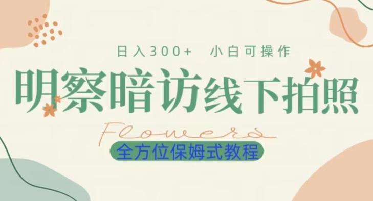 明拍暗拍项目0成本投入日入300+小白可操作保姆式全方位教程-爱找项目网