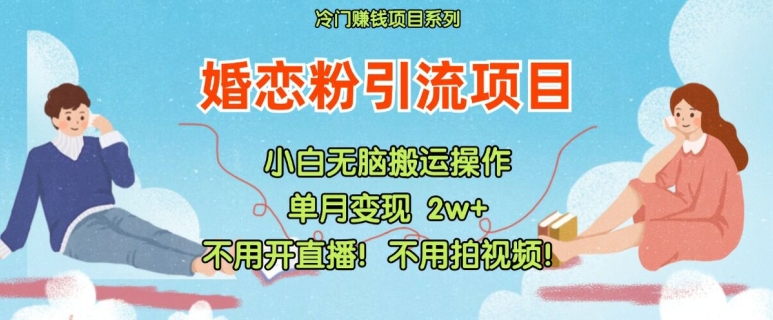 小红书婚恋粉引流，不用开直播，不用拍视频，不用做交付【揭秘】-爱找项目网