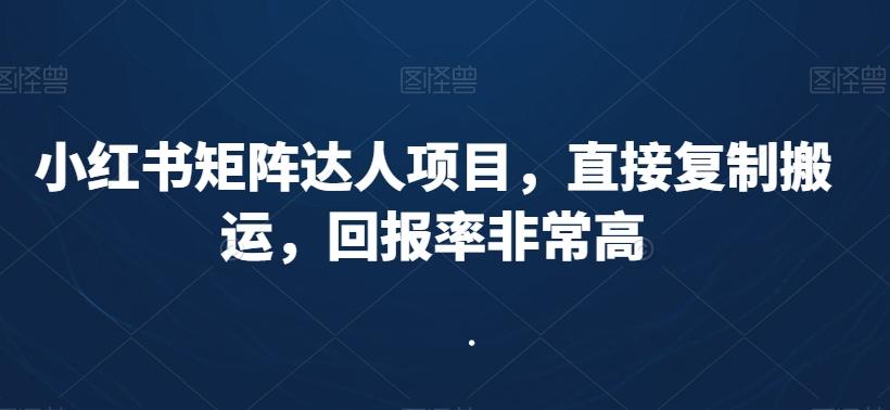 小红书矩阵达人项目，直接复制搬运，回报率非常高-爱找项目网