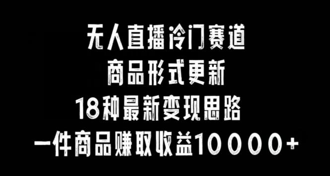 无人直播冷门赛道，商品形式更新，18种变现思路，一件商品赚取收益10000+【揭秘】-爱找项目网