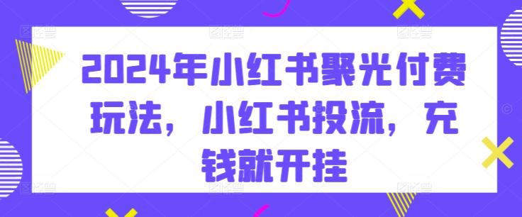 2024年小红书聚光付费玩法，小红书投流，充钱就开挂-爱找项目网